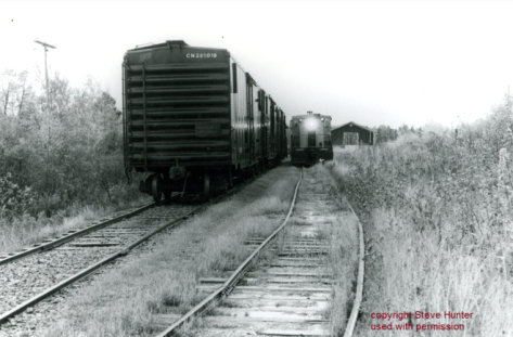 mountalbion1981blog1